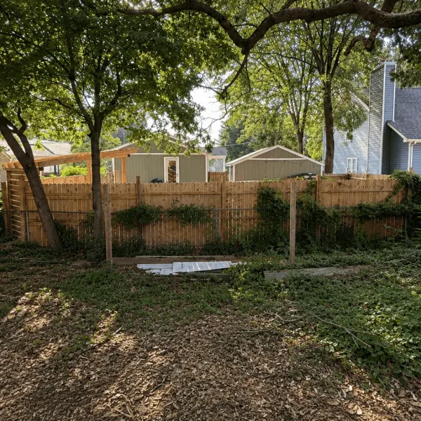 Pic 15